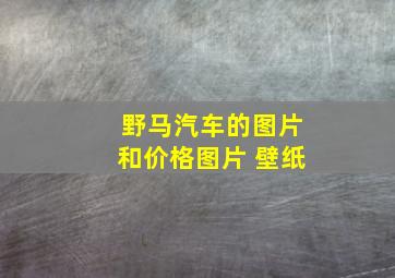 野马汽车的图片和价格图片 壁纸